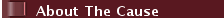 About The Cause